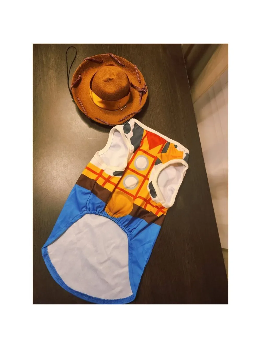 Pixar disney woody
